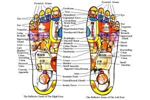 reflexology-chart